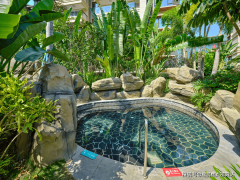 具有很高的成长价